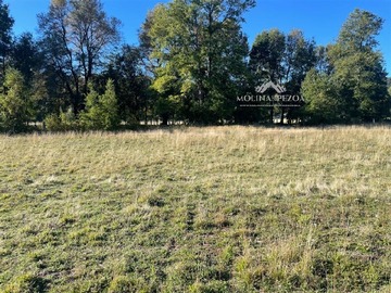 Venta / Parcela / Curacautín