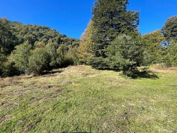 Venta / Parcela / Curacautín