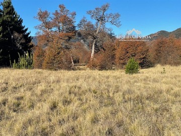 Imagen 17