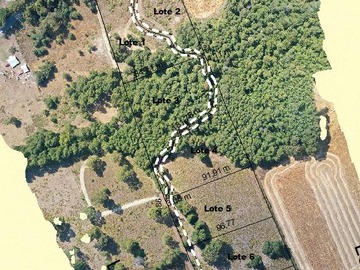 Venta / Parcela / Curacautín