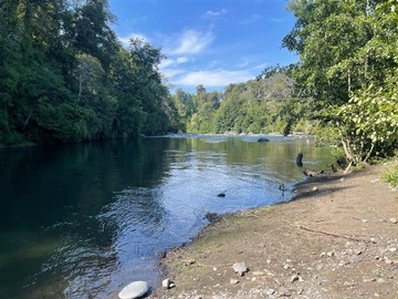 Venta / Parcela / Curacautín