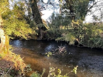 Imagen 11