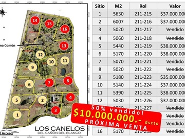Imagen 8