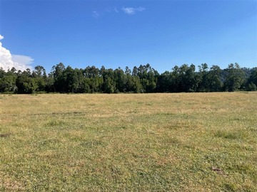 Venta / Parcela / Curacautín