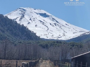 Imagen 7