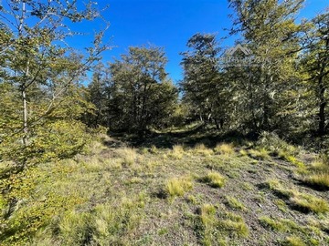 Venta / Parcela / Curacautín