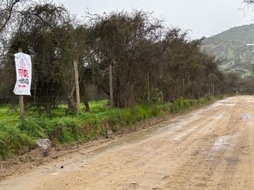 Imagen 6