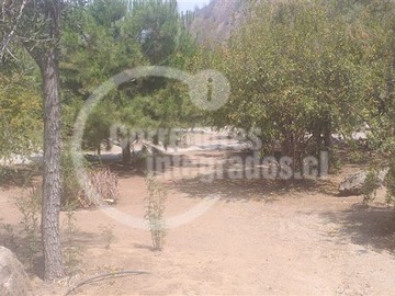 Imagen 15