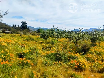 Imagen 37