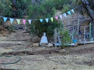 Imagen 12