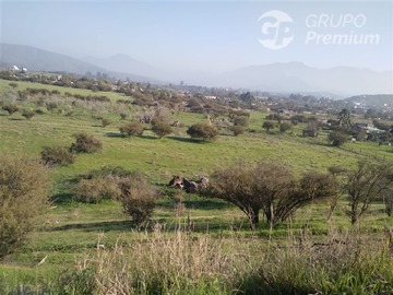 Venta / Parcela / Curacaví