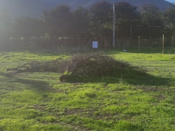 Imagen 16