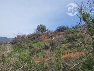 Imagen 7