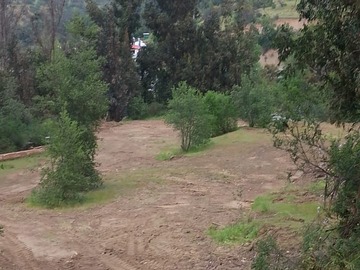 Imagen 6