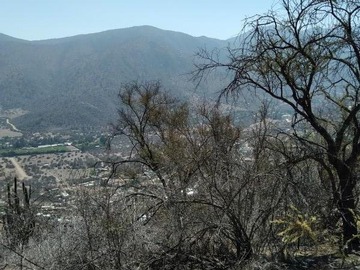 Imagen 11