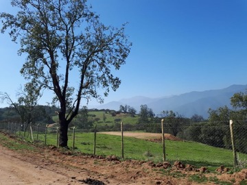 Venta / Parcela / Curacaví