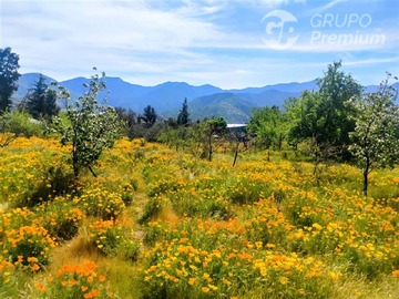 Imagen 39