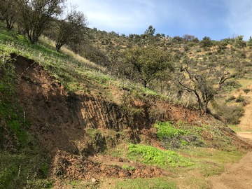 Venta / Parcela / Curacaví