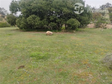Imagen 7