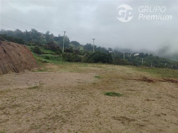 Imagen 14