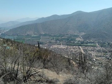 Venta / Parcela / Curacaví