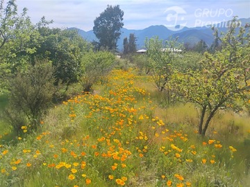 Imagen 31