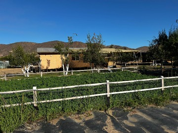 Venta / Parcela / Curacaví