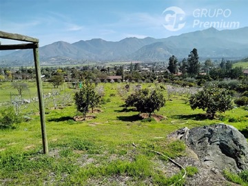 Imagen 8