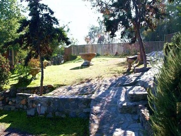 Imagen 12