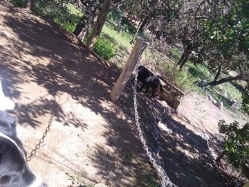 Imagen 17