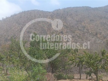 Imagen 17