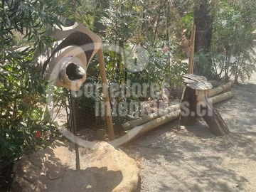 Imagen 13