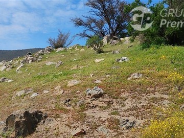 Imagen 6