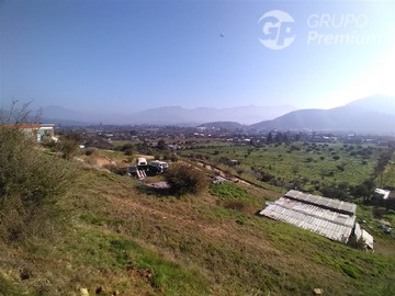 Imagen 11