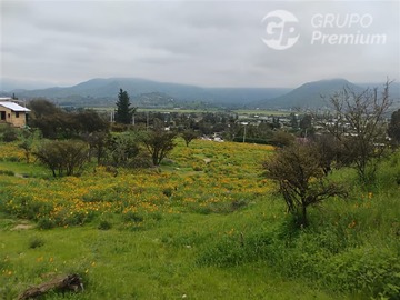 Imagen 7
