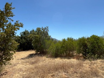 Venta / Parcela / Curacaví