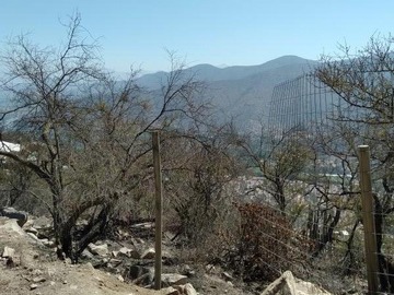 Imagen 8