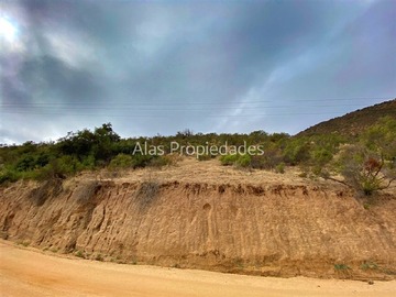 Imagen 14