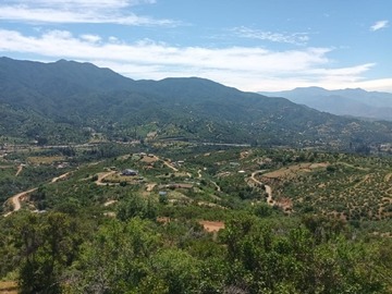 Venta / Parcela / Curacaví