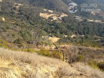 Imagen 9