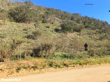Imagen 24
