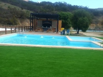 Imagen 5