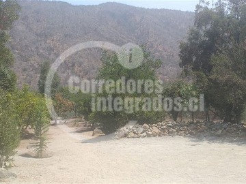 Imagen 22