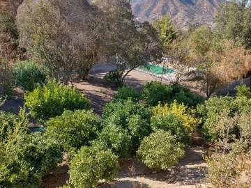 Venta / Parcela / Curacaví