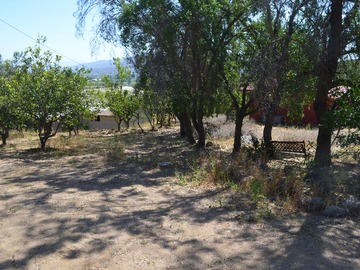 Imagen 15