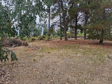 Venta / Parcela / Curacaví