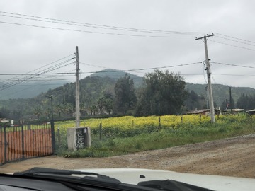 Imagen 9