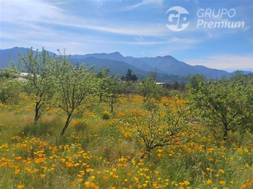 Imagen 34