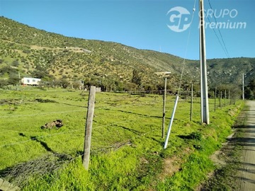 Imagen 5