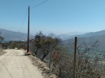Imagen 7